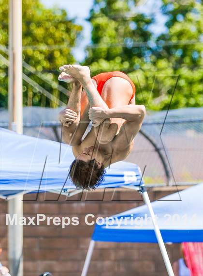 Thumbnail 3 in CIF SJS Boys Diving Championships photogallery.