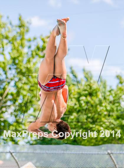 Thumbnail 2 in CIF SJS Boys Diving Championships photogallery.