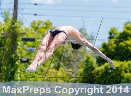 Thumbnail 2 in CIF SJS Boys Diving Championships photogallery.