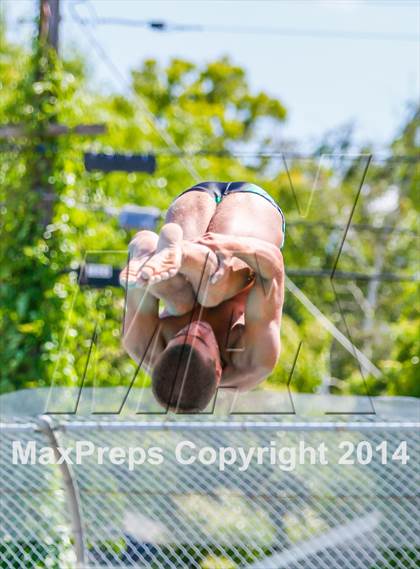 Thumbnail 2 in CIF SJS Boys Diving Championships photogallery.