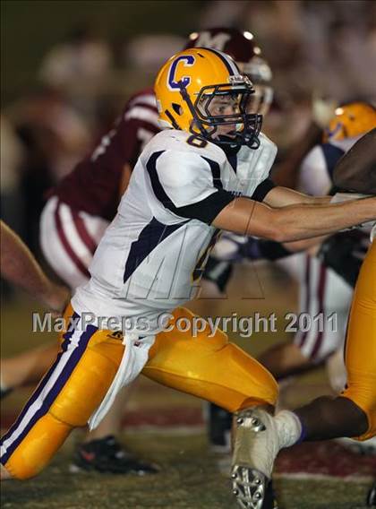 Thumbnail 3 in Covington @ Munford photogallery.