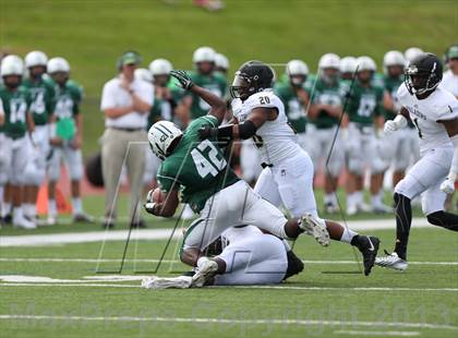 Thumbnail 1 in Paramus Catholic @ Delbarton photogallery.