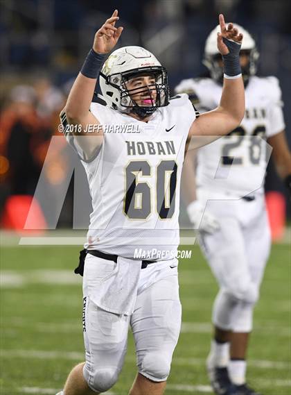 Thumbnail 1 in Archbishop Hoban vs. Washington (OHSAA D2 Final) photogallery.