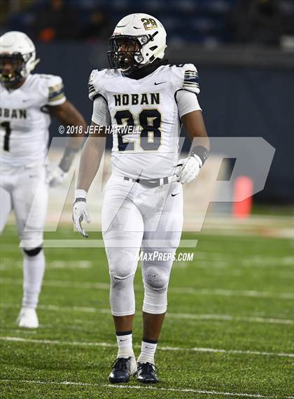 Thumbnail 1 in Archbishop Hoban vs. Washington (OHSAA D2 Final) photogallery.