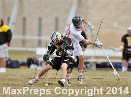 Thumbnail 2 in Archbishop Wood @ Pennsbury photogallery.