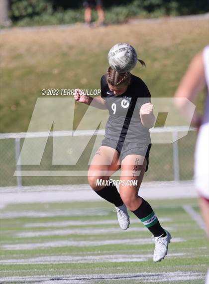 Thumbnail 1 in Cedar Valley @ Olympus (UHSAA 5A Quarterfinal) photogallery.