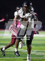 Photo from the gallery "Interboro @ Penn Wood"