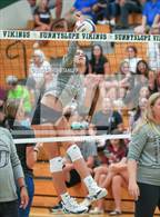 Photo from the gallery "Hamilton @ Sunnyslope"