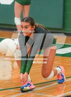 Photo from the gallery "Hamilton @ Sunnyslope"