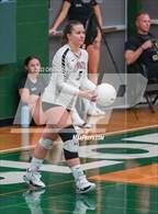 Photo from the gallery "Hamilton @ Sunnyslope"