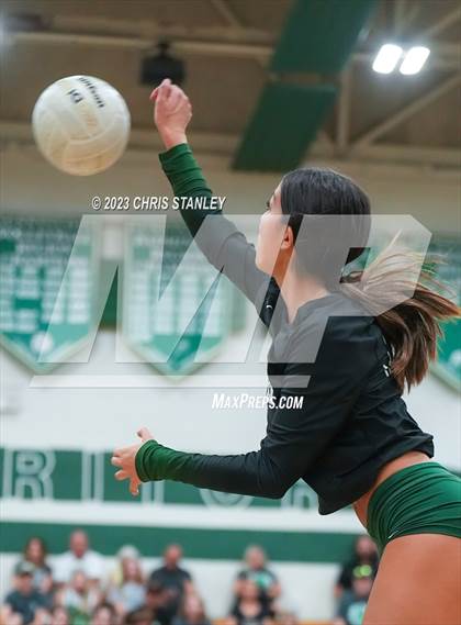 Thumbnail 2 in Hamilton @ Sunnyslope photogallery.