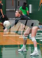 Photo from the gallery "Hamilton @ Sunnyslope"