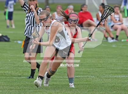 Thumbnail 3 in St. Bernard @ Fitch photogallery.