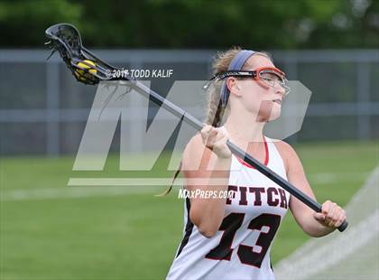 Thumbnail 1 in St. Bernard @ Fitch photogallery.