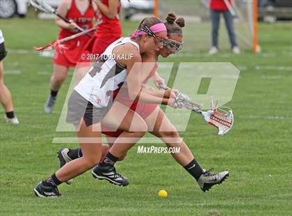 Thumbnail 3 in St. Bernard @ Fitch photogallery.