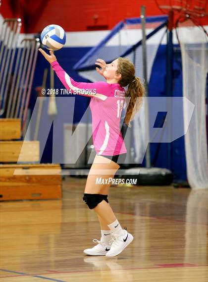 Thumbnail 3 in Croatan vs. Dixon photogallery.