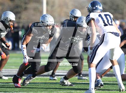 Thumbnail 1 in Manheim Township @ Harrisburg (PIAA 6A Quarterfinals) photogallery.