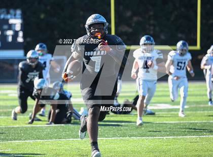 Thumbnail 3 in Manheim Township @ Harrisburg (PIAA 6A Quarterfinals) photogallery.
