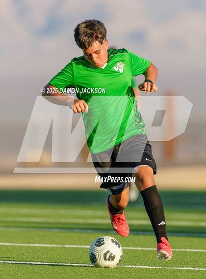 Thumbnail 3 in Pahrump Valley @ Virgin Valley photogallery.