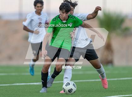 Thumbnail 3 in Pahrump Valley @ Virgin Valley photogallery.