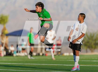 Thumbnail 3 in Pahrump Valley @ Virgin Valley photogallery.