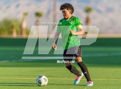 Thumbnail 1 in Pahrump Valley @ Virgin Valley photogallery.