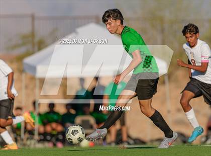 Thumbnail 3 in Pahrump Valley @ Virgin Valley photogallery.