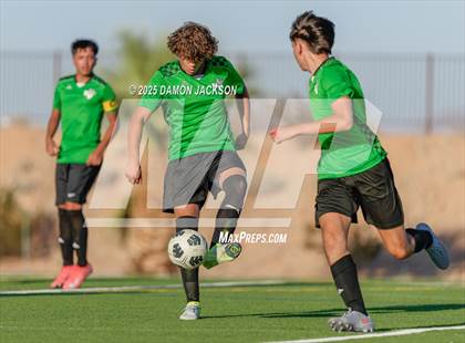 Thumbnail 3 in Pahrump Valley @ Virgin Valley photogallery.