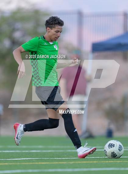 Thumbnail 1 in Pahrump Valley @ Virgin Valley photogallery.