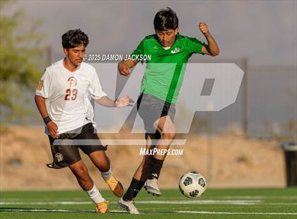 Thumbnail 2 in Pahrump Valley @ Virgin Valley photogallery.