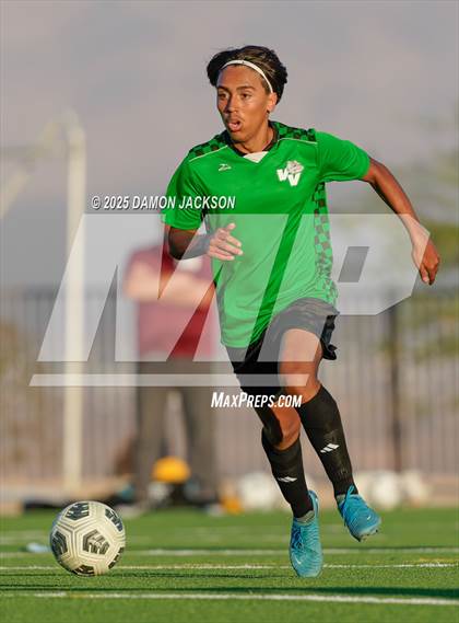 Thumbnail 1 in Pahrump Valley @ Virgin Valley photogallery.