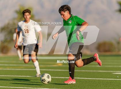 Thumbnail 1 in Pahrump Valley @ Virgin Valley photogallery.