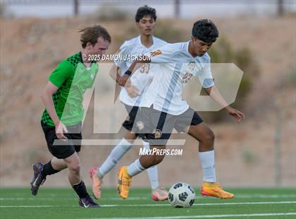 Thumbnail 3 in Pahrump Valley @ Virgin Valley photogallery.