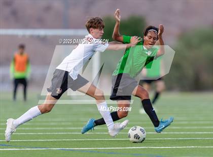 Thumbnail 3 in Pahrump Valley @ Virgin Valley photogallery.