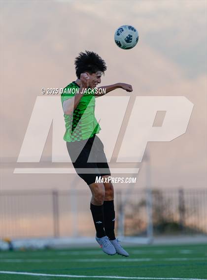 Thumbnail 3 in Pahrump Valley @ Virgin Valley photogallery.