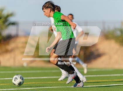Thumbnail 1 in Pahrump Valley @ Virgin Valley photogallery.