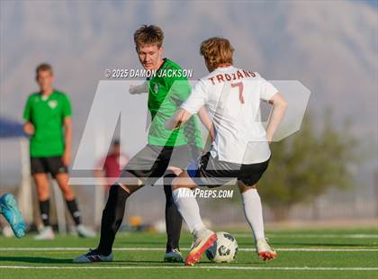 Thumbnail 3 in Pahrump Valley @ Virgin Valley photogallery.