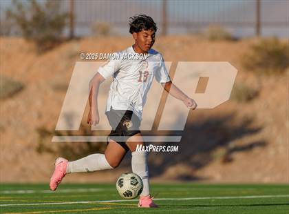 Thumbnail 3 in Pahrump Valley @ Virgin Valley photogallery.