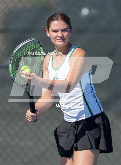 Thumbnail 3 in Pahrump Valley @ Virgin Valley photogallery.