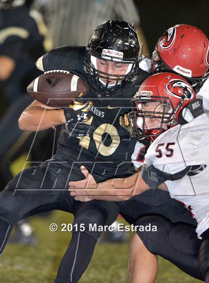Thumbnail 2 in Carrollwood Day @ St. Petersburg Catholic photogallery.
