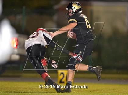 Thumbnail 3 in Carrollwood Day @ St. Petersburg Catholic photogallery.