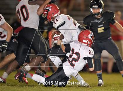 Thumbnail 2 in Carrollwood Day @ St. Petersburg Catholic photogallery.