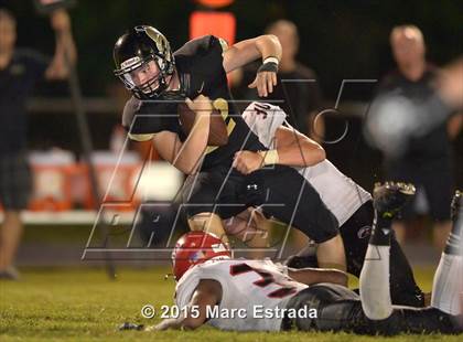 Thumbnail 3 in Carrollwood Day @ St. Petersburg Catholic photogallery.