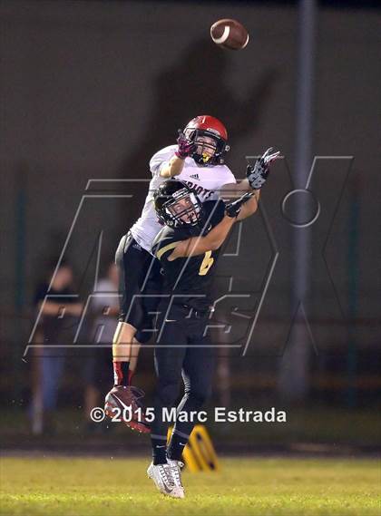 Thumbnail 2 in Carrollwood Day @ St. Petersburg Catholic photogallery.