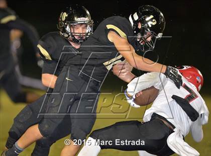 Thumbnail 1 in Carrollwood Day @ St. Petersburg Catholic photogallery.