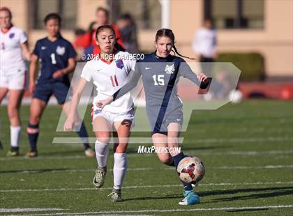 Thumbnail 2 in St. Ignatius vs. Carlmont (CIF CCS D1 Playoff) photogallery.