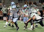 Photo from the gallery "South @ North"