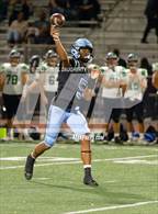 Photo from the gallery "South @ North"