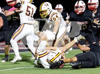 Thumbnail 1 in Collinsville @ Muenster photogallery.