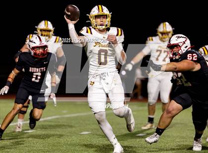 Thumbnail 3 in Collinsville @ Muenster photogallery.